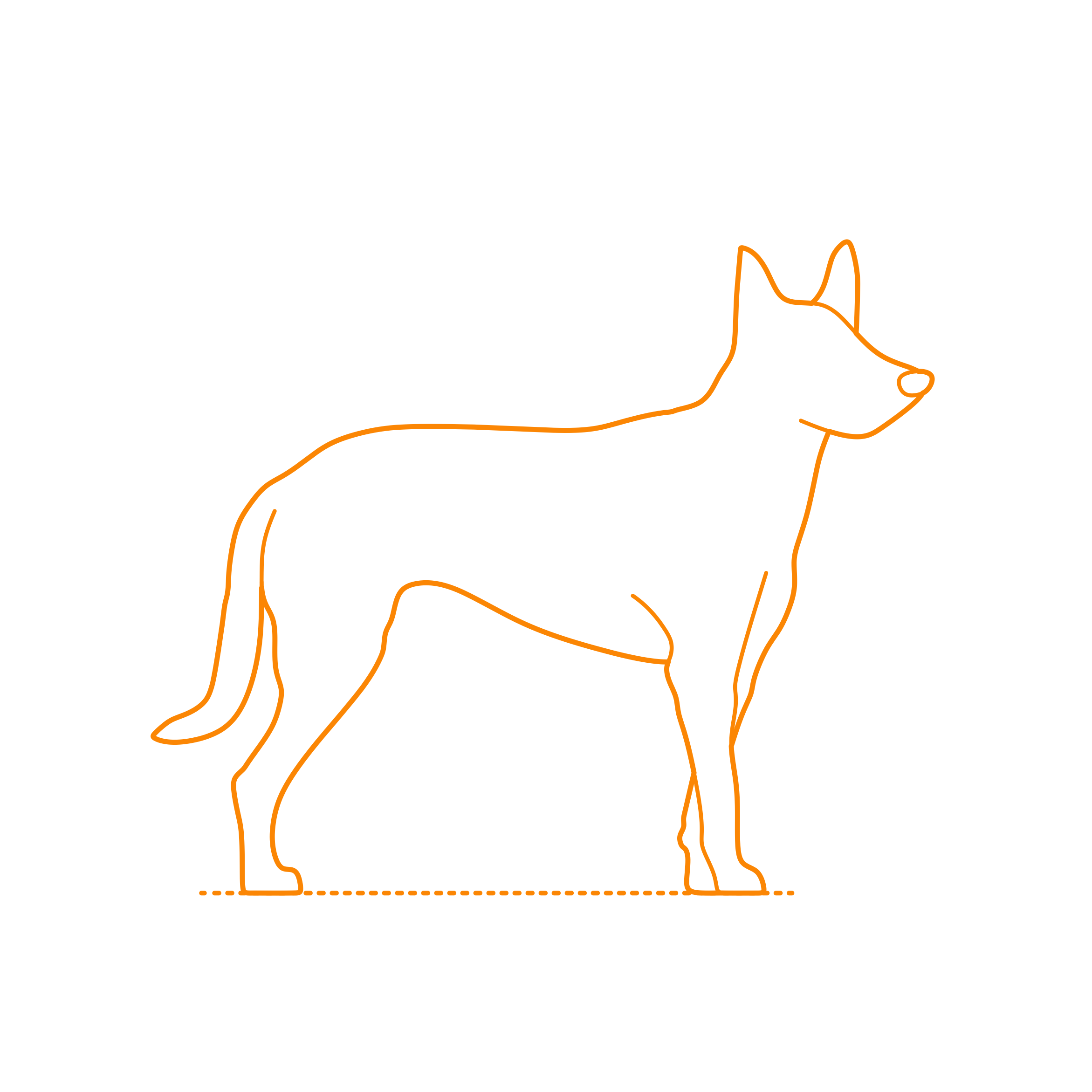 Animals Dogs Carolina Dog Tracing Svg Vector Free Vectors